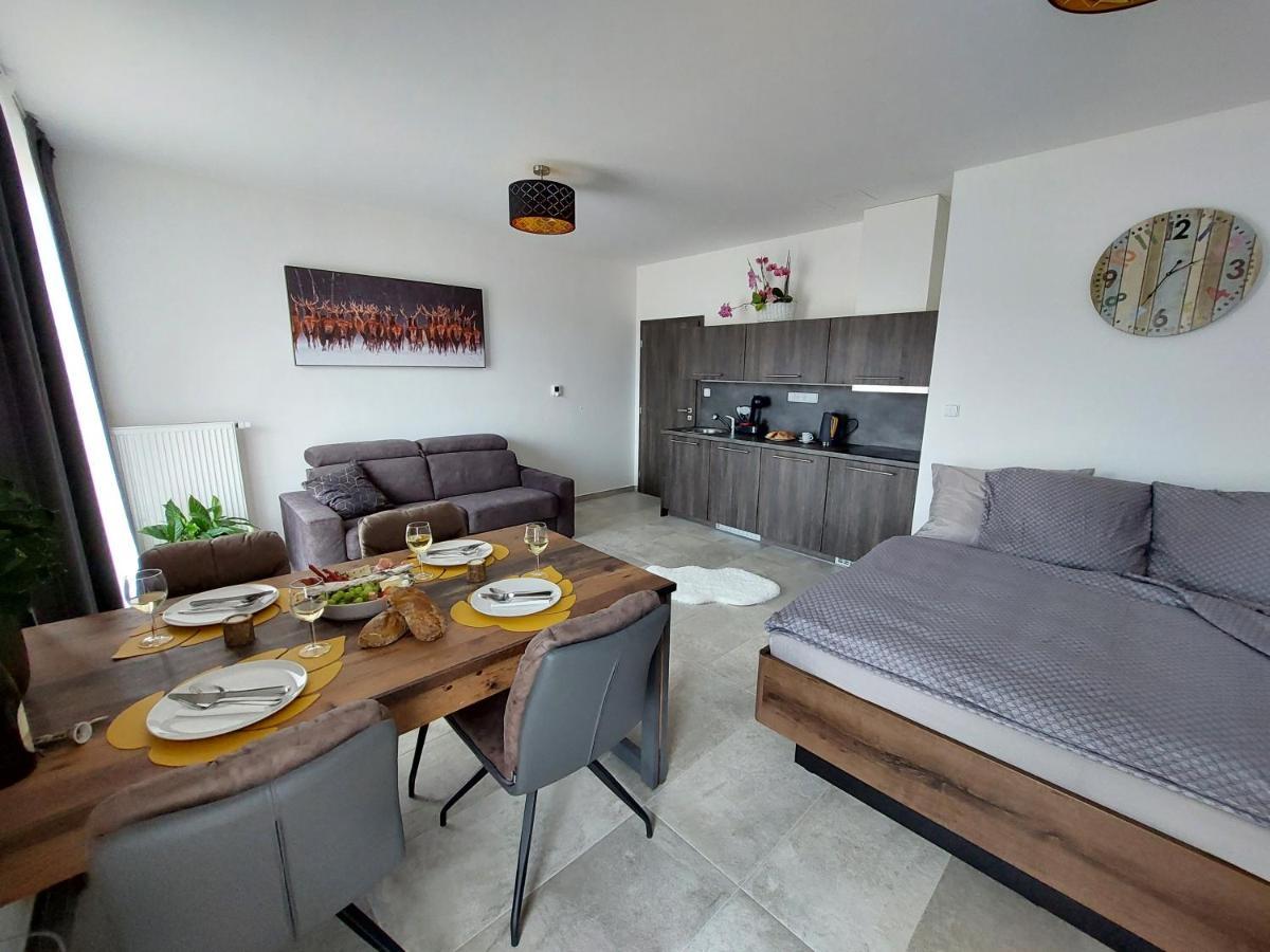Apartman Rezidence Javor Zelezna Ruda Bagian luar foto