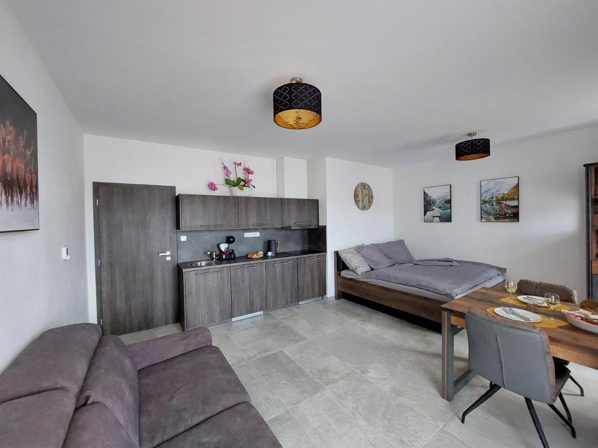 Apartman Rezidence Javor Zelezna Ruda Bagian luar foto