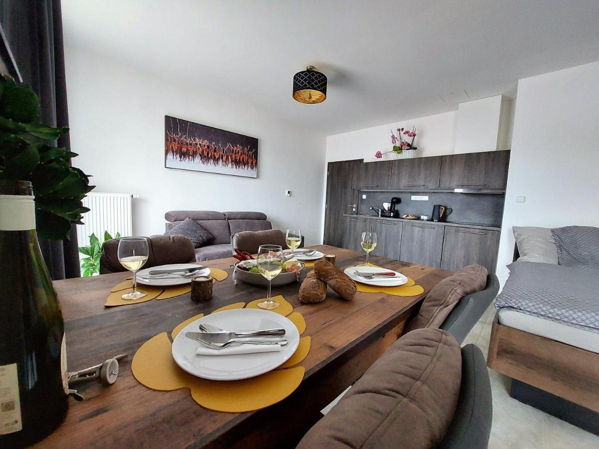 Apartman Rezidence Javor Zelezna Ruda Bagian luar foto